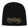Sepultura Unisex Adult Original Logo Beanie