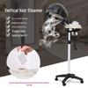 Home Hair Steamer Machine for Hair Care and Salon Use