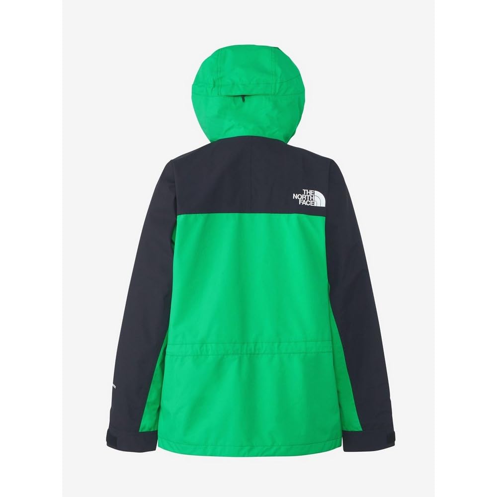 The North Face Mountain Light Optic L Jacket, Men's, Gore-Tex, Waterproof, Breathable, Emerald/Black,