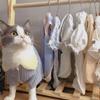 10Pcs Pet Clothes Hangers, Space-Saving Metal Hangers For Pet Apparel, Durable & Easy-To-Use, Ideal For Small To Large Pets