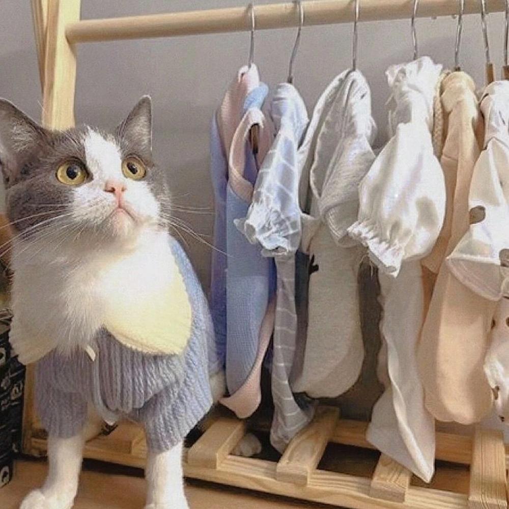 10Pcs Pet Clothes Hangers, Space-Saving Metal Hangers For Pet Apparel, Durable & Easy-To-Use, Ideal For Small To Large Pets