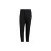 Terrex Brushed Pants Logo Men's HM9717