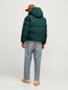 Зимняя куртка Jack & Jones Bradley Down Jacket (12256974) Jjebradley Puffer Hood Sn (12256974) магический лес
