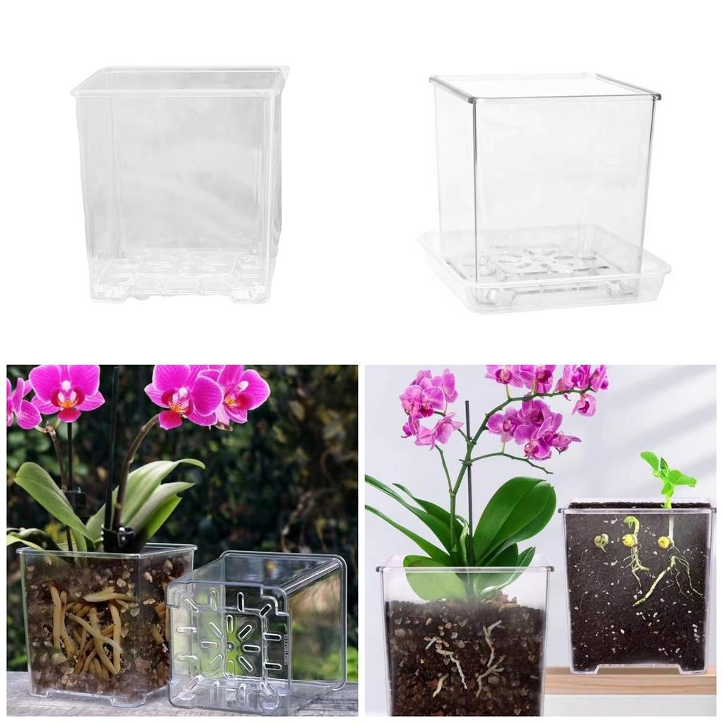 Clear Breathable Plant Container Desktop Ornament Planter Plant Pot Crafts Decors Planter Landscape Crafts