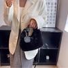 High-Grade Plush Versatile Handbag 2025 - New Style Crossbody Single Shoulder Fur Fashion Bag