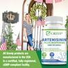 Bevat artemisinine-extract, 100 mg, versterkt het immuunsysteem, geschikt voor volwassenen, veganistisch.