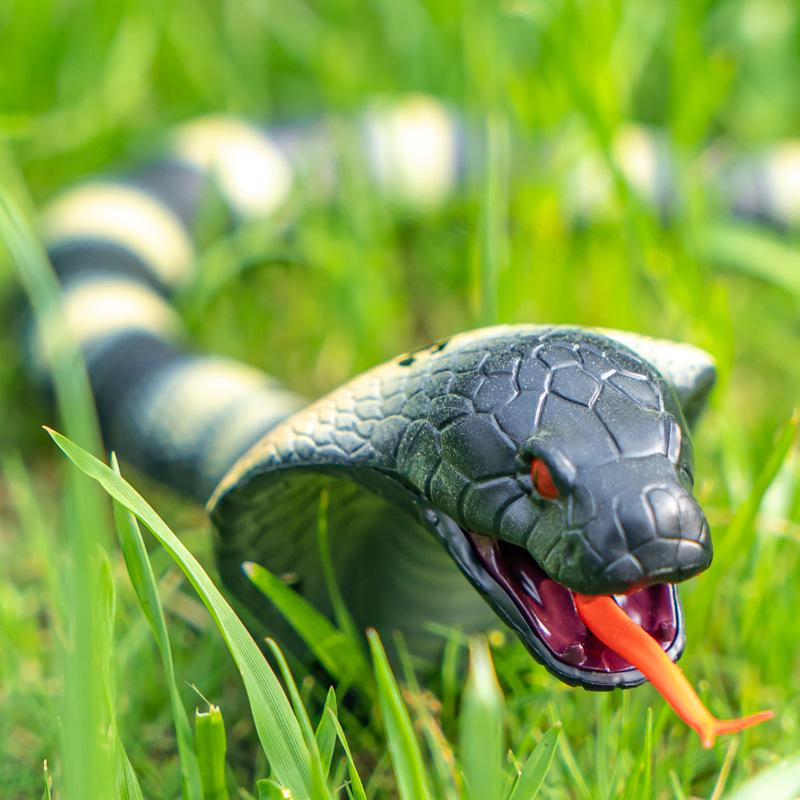 Novelty Remote Control Infrared Snake and Spider Toy