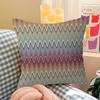 Geometric Zig Zag Wav Personalized Pillow Cover Kids Bedroom Wild Party Decor Pillowcase Kid Birthday Shower Gift