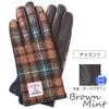 7th HEAVEN Harris Tweed Leather Gloves Women's AY-15AWGL-001 (Charmint)
