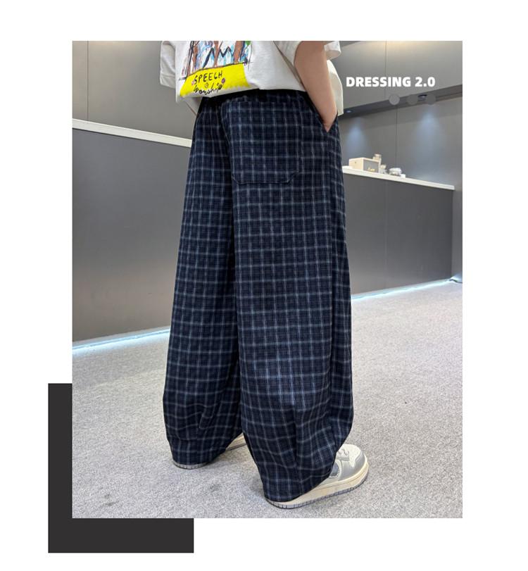 Boys' Summer Checkered Casual Pants 2026 New Style Rascal Handsome Children's Summer Work Pants Middle and Large Children's Casual Pants