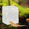 Reptile – Terarii pentru reptile
