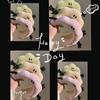 Charming Cartoon Plush Headband for Women - Autumn/Winter Skull Top Hair Accessory