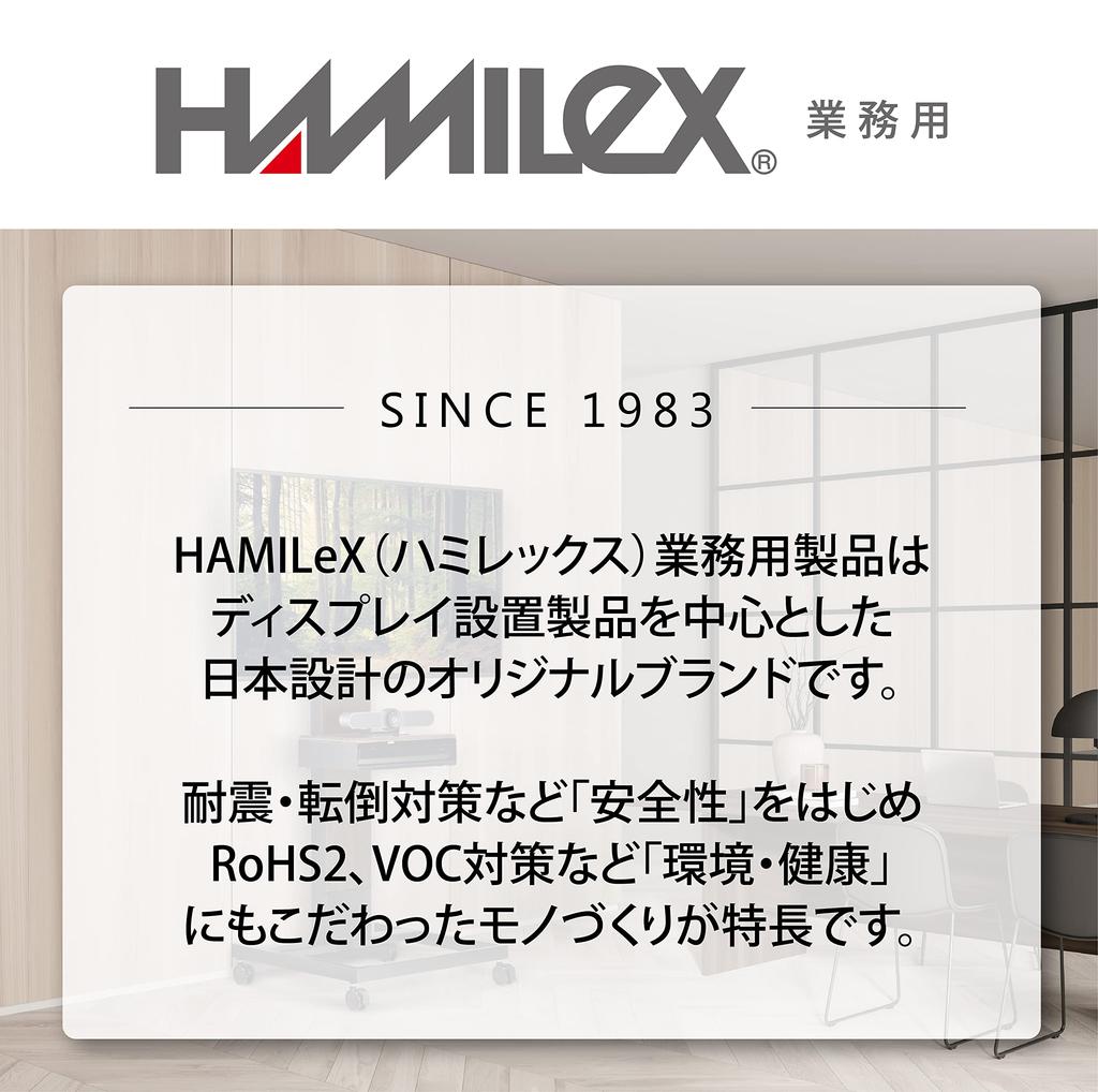 Hayami Kogyo TV Wall Mount Bracket, Fits Up To 50-inch TVs, VESA Compatible, Fixed Angle, Black, LH-22