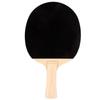 DHS Progresser III L Table Tennis Racket Pair