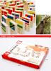 100 stuks Houten Vlag Leerblok Speelgoed Kits Dominostenen voor Kinderen leren Wereldvlaggen Educatief Speelgoed Festival Cadeau