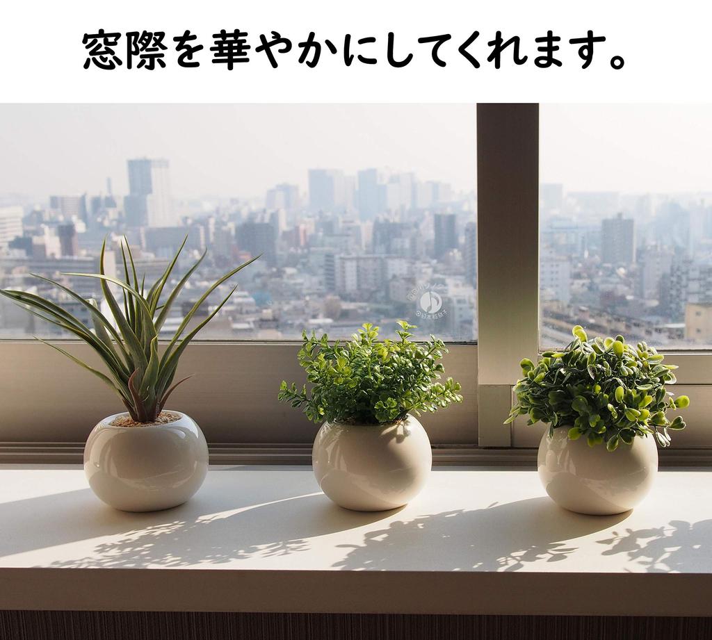 Miniature Interior Greenery - Artificial Plants (Eucalyptus, Air Plants, and Fan-Shaped Greenery) - 3-Piece Set