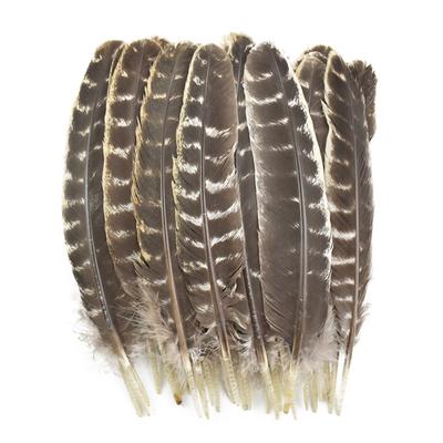 10Pcs/Lot Real Natural Turkey Feather Eagle Bird Feathers For Crafts Birds Plumes Decor Carnaval Accessories Manmade Decorations