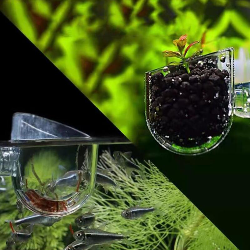Fish Tank Red Worm Feeder Cup Aquarium Decoration Plant Pot with Suction Holder Earthworm Feeding Water Grass Landscaping Cup