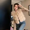 Xiaohua's white tea vest new Korean ins style thin fox hair vest fur coat female