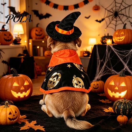1 Set Pet Halloween Costume, Cat Wizard Hat And Cape, Cute Pumpkin Print Pet Apparel for Small Dogs Cats Festive Party Wear