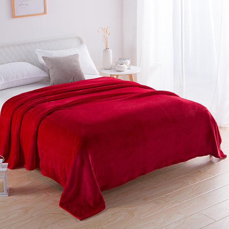 Warm Coral Fleece Flannel Blanket,Perfect for Autumn, Winter, Air Conditioning, Picnics, and Travel