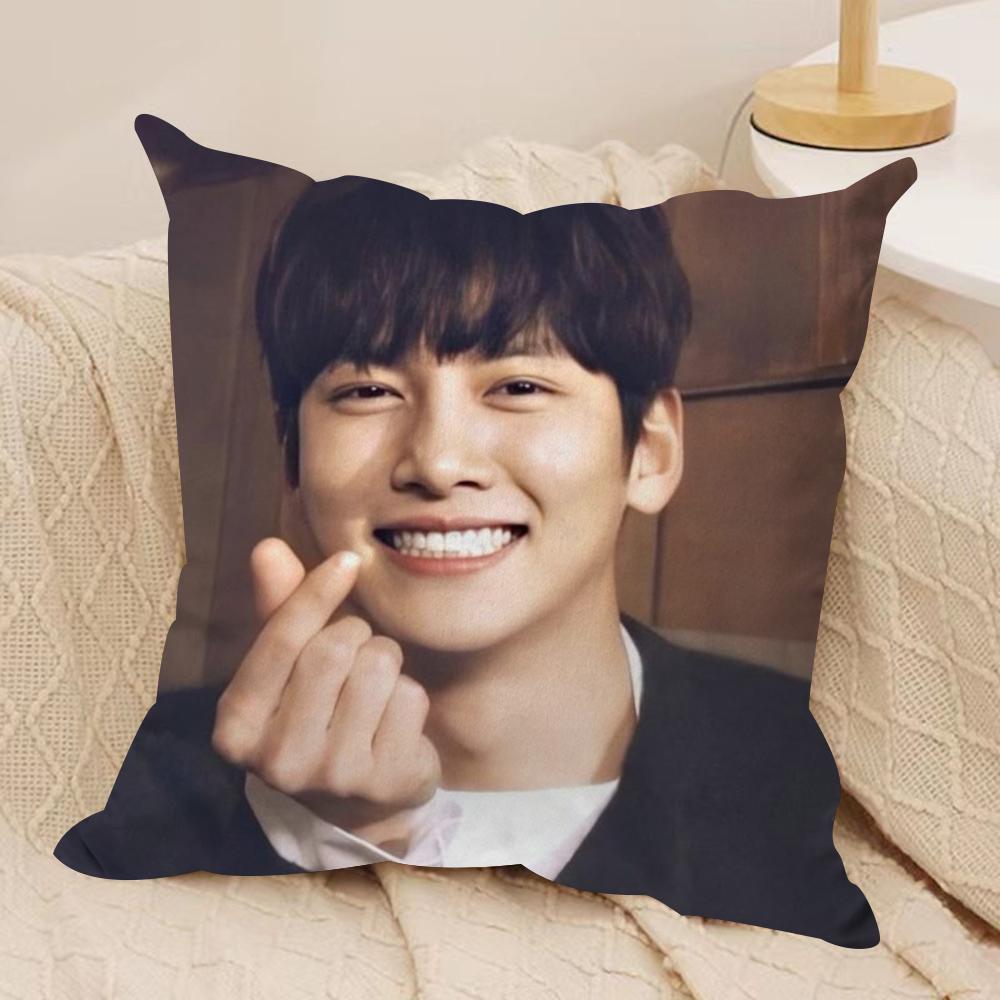 JJi CChang Wook Cushion Cover Silky Short Plush DoubleSided Printed Pillow Case for Sofa All Seasons Home Decor Gift