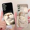 For Samsung Galaxy A54 Cute Flower Butterfly Cat Painted Case For Samsung A54 5G SM-A546B Soft Silicone TPU Phone Cases