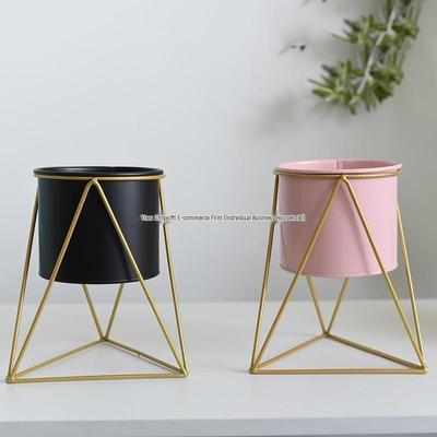 Luxury Wrought Iron Floor-Standing Flower Pot with Bracket for Indoor Display