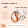 Adjustable Cat Anti-Escape Leash & Harness for Outdoor Walking