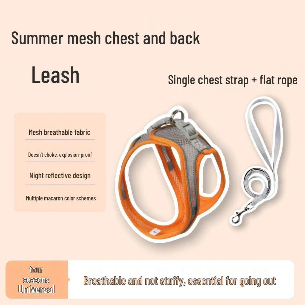 Adjustable Cat Anti-Escape Leash & Harness for Outdoor Walking