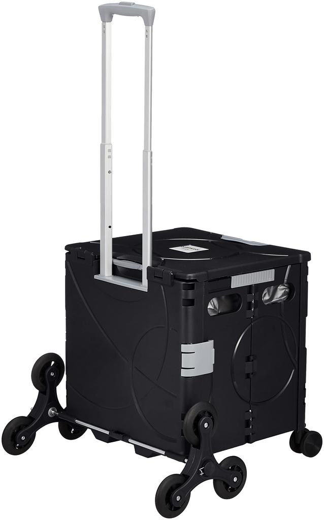 Compact Carry Case Ranger 36L