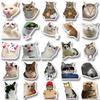 10/30/50pcs Funny MEME Cat Cartoon Graffiti Stickers Cute Animal Decals Kid Toy DIY Suitcase Stationery Phone Waterproof Sticker