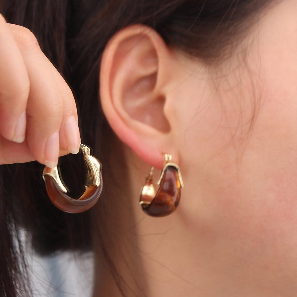 Autumn Winter Vintage Women's Earrings Pendant Amber Ear Stud Amber Color Earrings  Women
