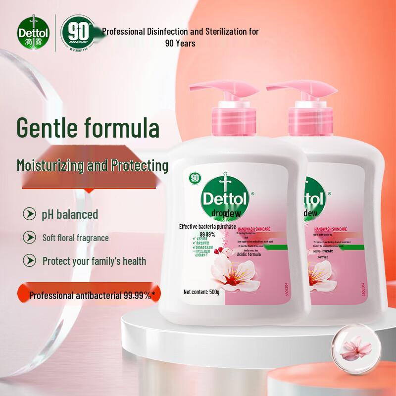Dettol Moisturizing Hand Wash (500g x 2)