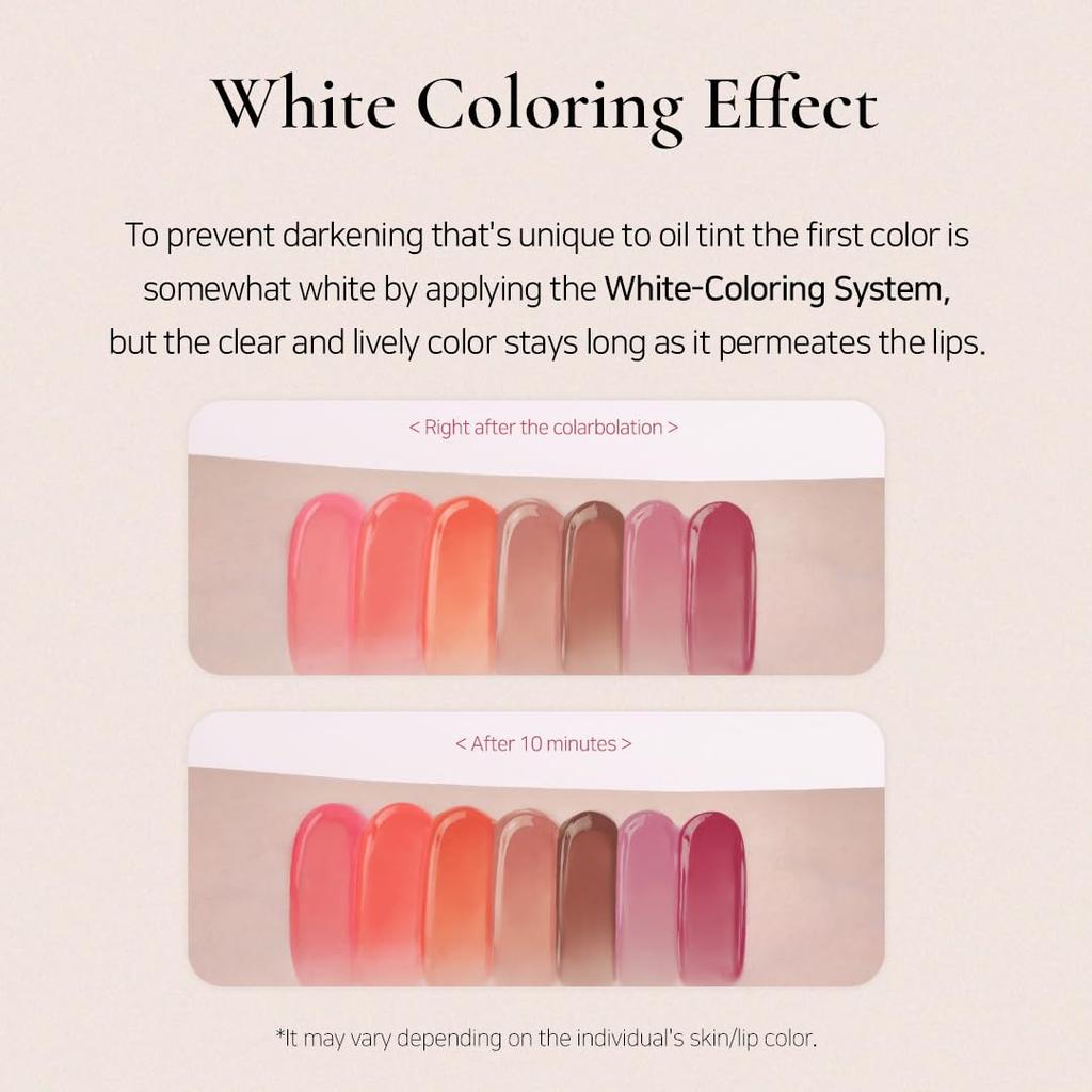 Blushing Volume Lip Tint 777 Berry Korean Cosmetics [Dinto Official] Gelée