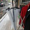 Large Transparent Windproof Umbrella for Two, Semi-Automatic, Solid Color, Reinforced Long Handle