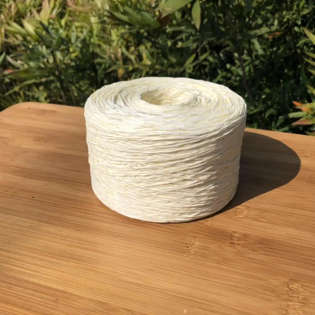 250g Fine Flat Raffia Yarn Wearable Soft Cotton Straw Thread for Hand Knitting Hats Handbags Summer Beach Craft Diy