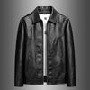 Locomotive trendy cool men's leather jacket autumn and winter lapel pu youth windproof and warm casual versatile men's leather jacket