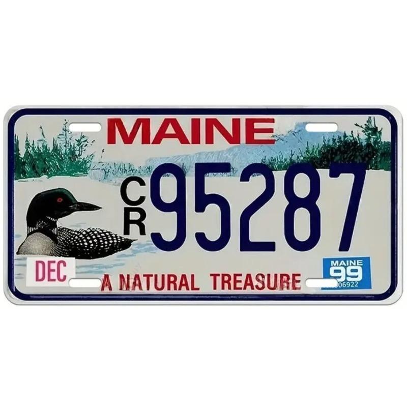 Souvenir Metal License Plate, Auto Wall Decor 15x30cm