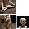 Vintage Skull Figurine Resin Haunted House Props Halloween Holiday Atmosphere Ornament Yoga Human Skeleton Statue for Home Decor
