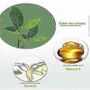 Green Tea Mask Stick,Blackhead Remover with Green Tea Extract,Deep Pore Cleansing,Moisturizing, Skin Brightening, Removes Blackheads for All Skin Type