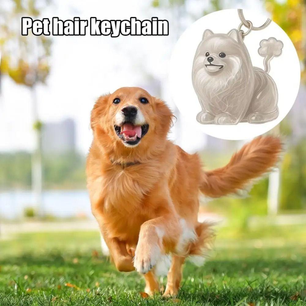 Transparent Dog Hair Storage Box Hair Grooming Puppy Pendants Pet Hair Keychain  Jewelry Gift
