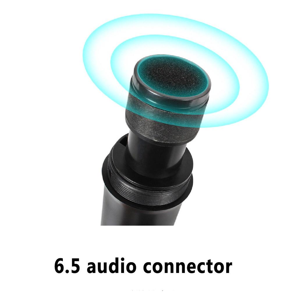 2 PCS Professional Wireless Microphone System with Receiver UHF Handheld Mic Speaker Karaoke Meeting Party