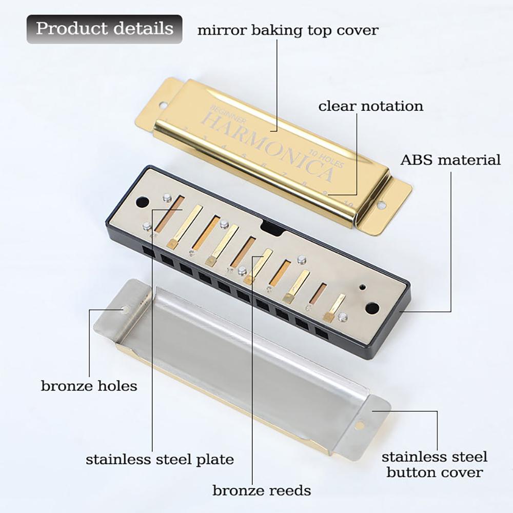 10-otworowa harmonijka ustna tonacji C Blues Harp Harmonijka ustna Obudowa z brązu fosforowego Diatoniczny zestaw harmonijkowy dla początkujących dla dzieci