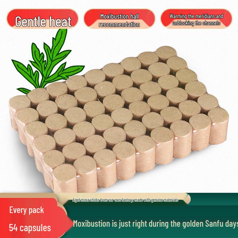 Portable Moxibustion Box with Aged Moxa Wool Sticks for Home Use