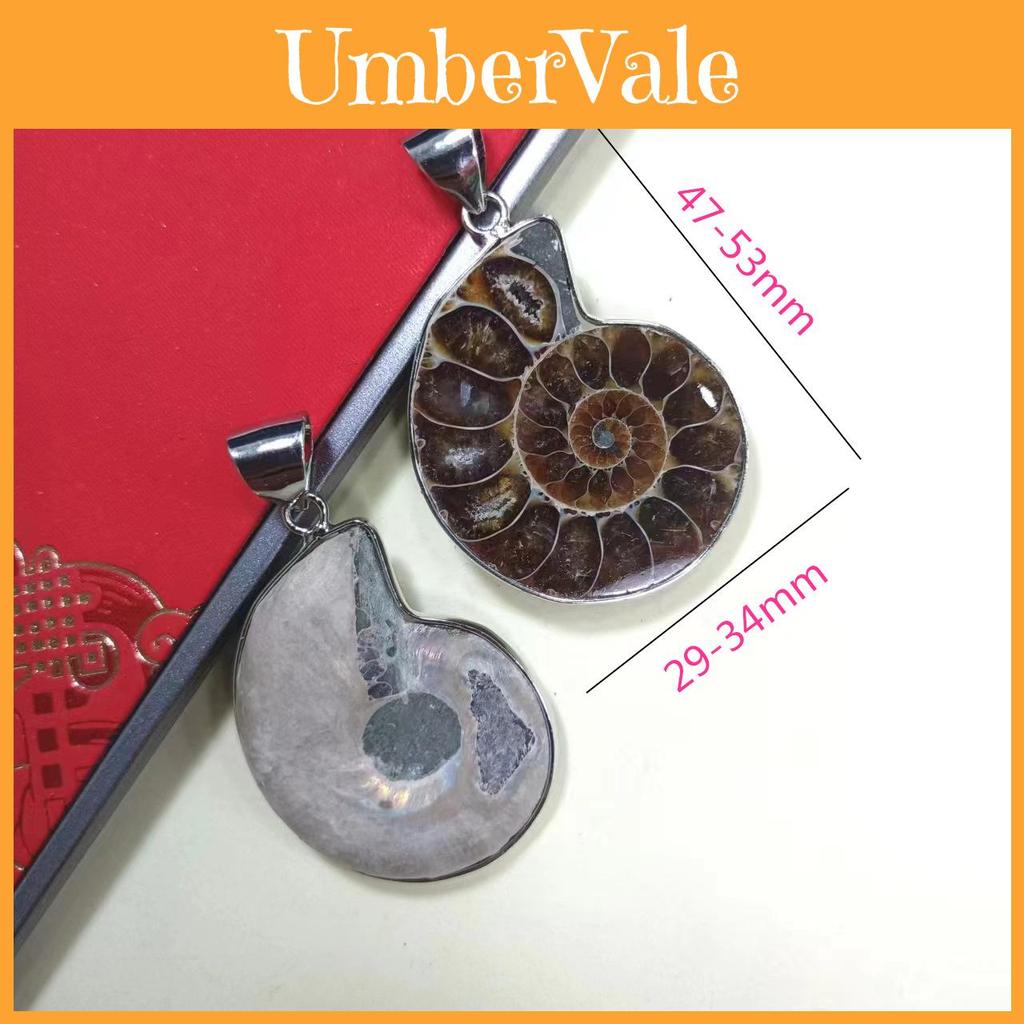 Shell Pendant With Polished Shell Beads For Style Jewelry