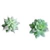 Realistic Artificial Potted Plant Arrangement 11Pieces Miniature Artificial Potted Plant For Indoor and Outdoor Use