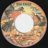 7inch Record HOT  Angel In Your Arms  If Thats The  BT15039 BIG TREE RECORD  US SoulFunk Used
