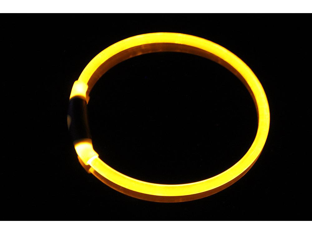 Helle Transparente PU Leuchtendes Hundehalsband für die Nacht