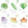 30 Pcs Leaf Sticky notes Planner to do list Planner Take notes messages memo pad Stationery office supplies